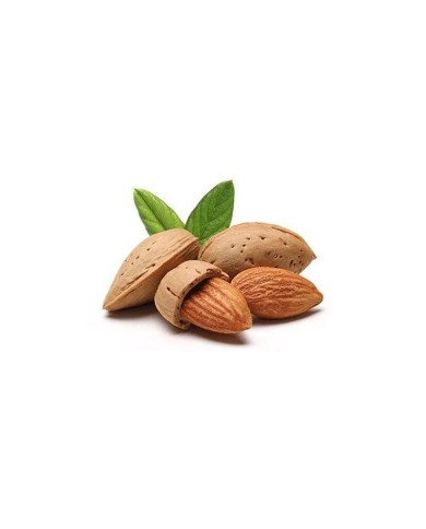 Mandorle con guscio BIO - Sacchetto
